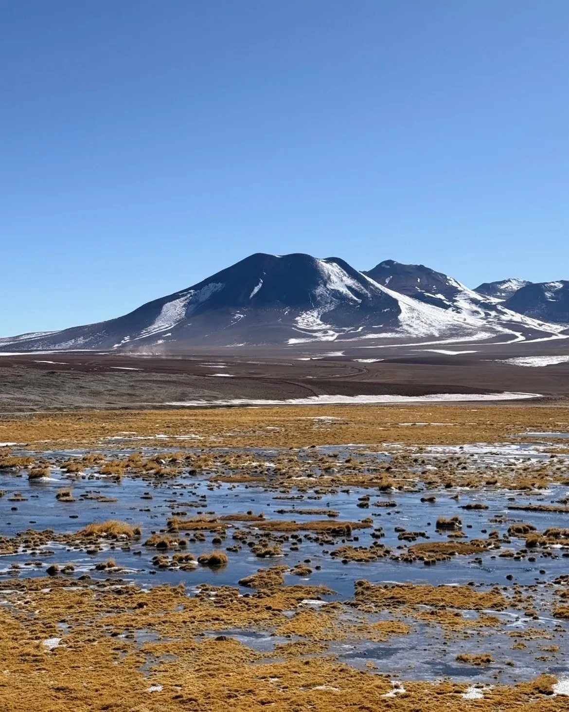 Altiplano andino